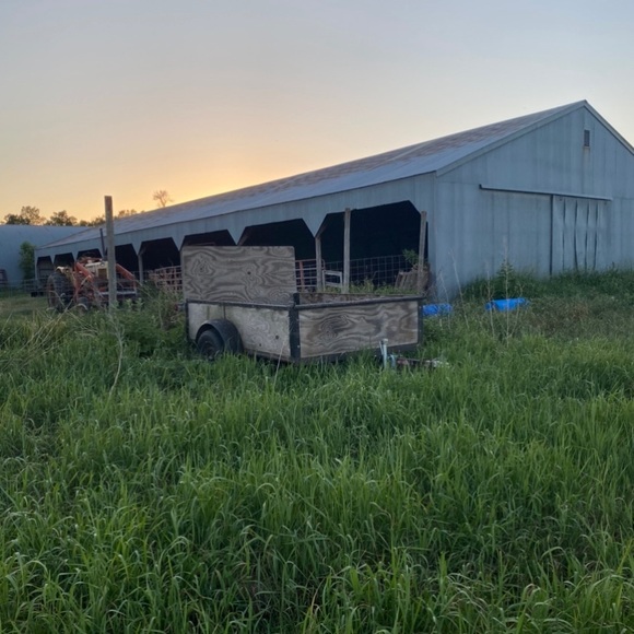 Meet your Posher, Nikki - Picture 1 of 1